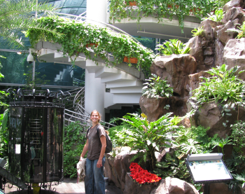 Changi butterfly garden